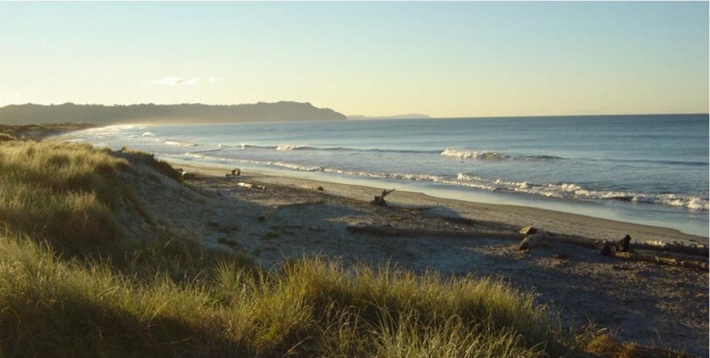 Two Bare Feet Apartment Waihi Exterior photo