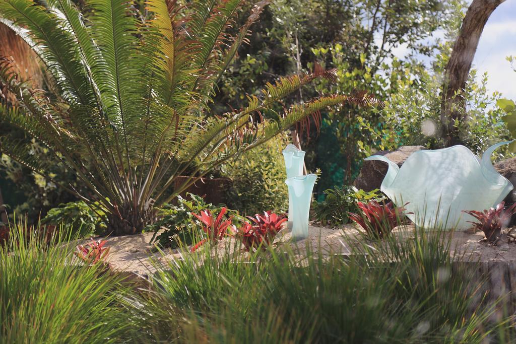 Two Bare Feet Apartment Waihi Exterior photo